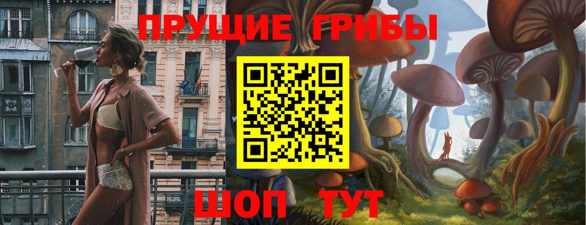Псилоцибиновые грибы ЛСД  Вход с VPN  Галлюциногенные грибы Cubensis  Находка 