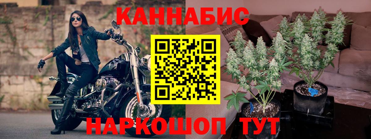 Бошки Шишки планчик  Канабис VHQ  Находка  Вход с VPN 